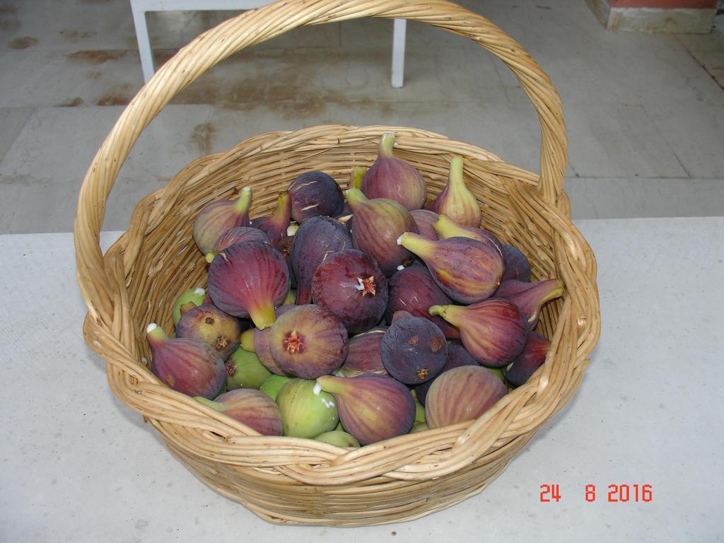 Villa Magia Ypsos Dış mekan fotoğraf