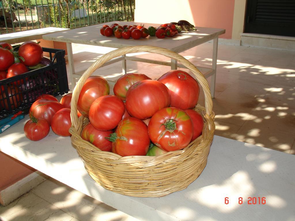 Villa Magia Ypsos Dış mekan fotoğraf