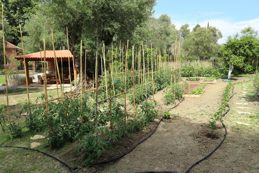 Villa Magia Ypsos Dış mekan fotoğraf