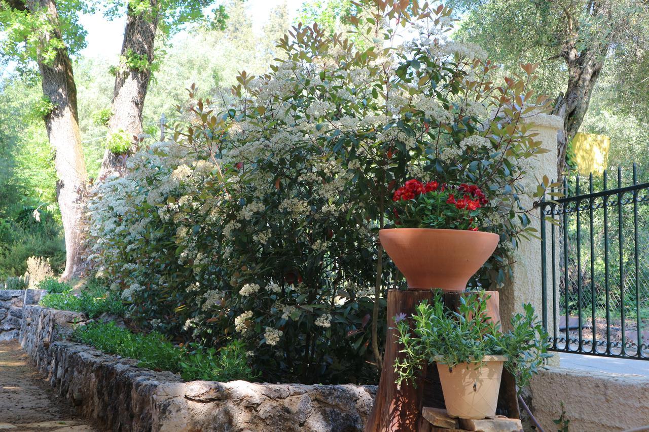 Villa Magia Ypsos Dış mekan fotoğraf